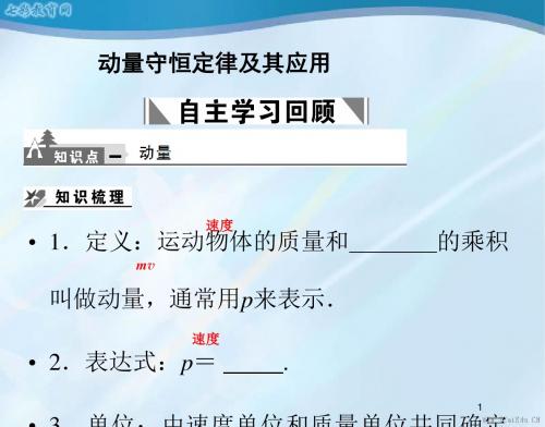 物理选修3-5人教新课标第十六章动量守恒定律精品课件.