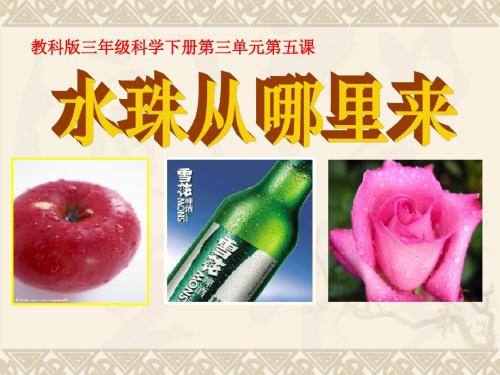 《水珠从哪里来》温度和水的变化PPT课件2