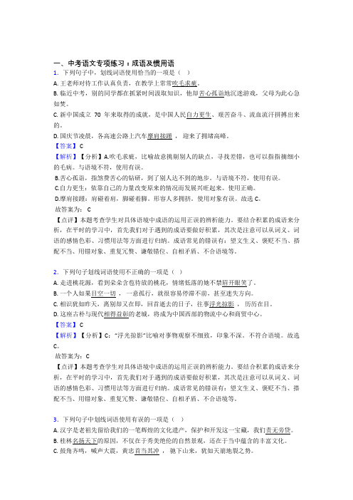 中考成语及惯用语技巧习题训练及答案(Word版)
