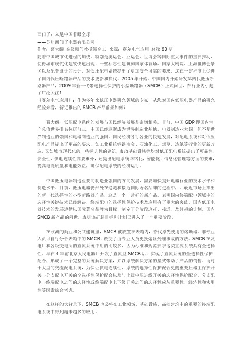 西门子的市场细分