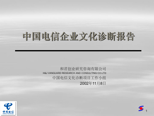 中国电信文化诊断报告33