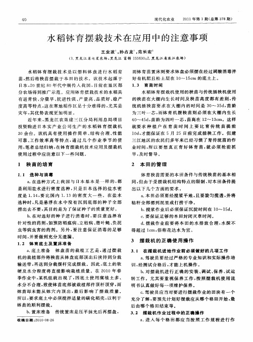 水稻钵育摆栽技术在应用中的注意事项