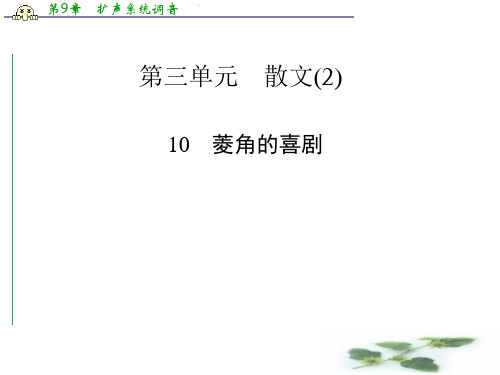 高中语文(粤教)必修2课件：10 菱角的喜剧