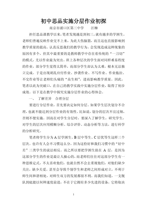 初中思品实施分层作业初探