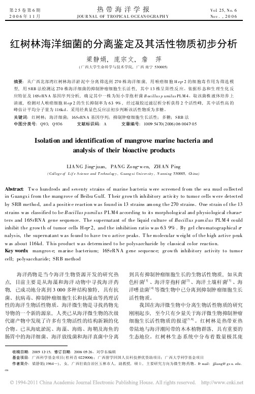 红树林海洋细菌的分离鉴定及其活性物质初步分析