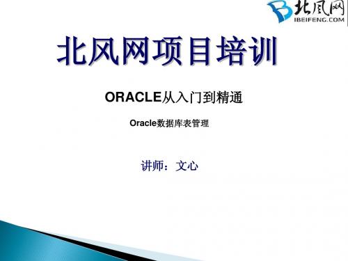 04.Oracle数据库表管理