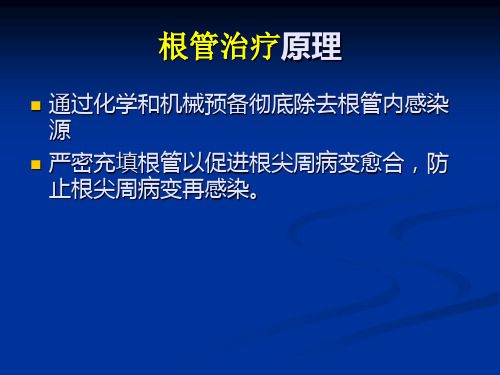 根管治疗基础PPT课件