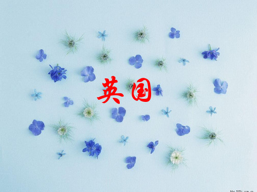 英国商务贸易分析