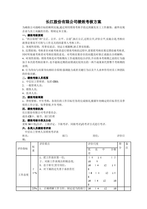 长江股份有限公司绩效考核方案(精)