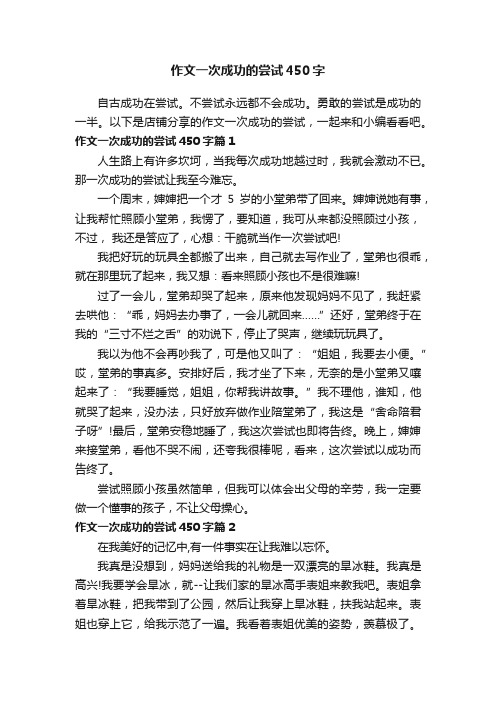 作文一次成功的尝试450字