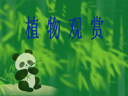 植物鉴赏