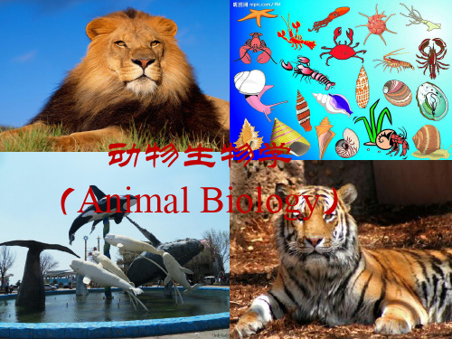 绪论-动物生物学(科学教育)