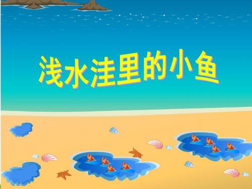28.浅水洼里的小鱼课件