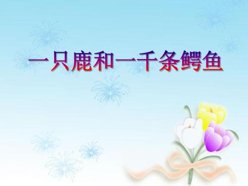 《一只鹿和一千条鳄鱼》PPT(上课用)3