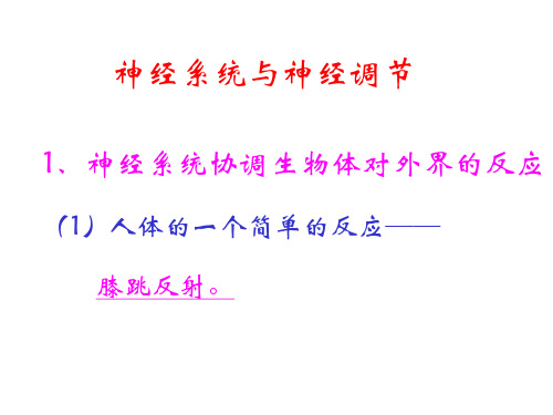 神经系统及调节PPT课件