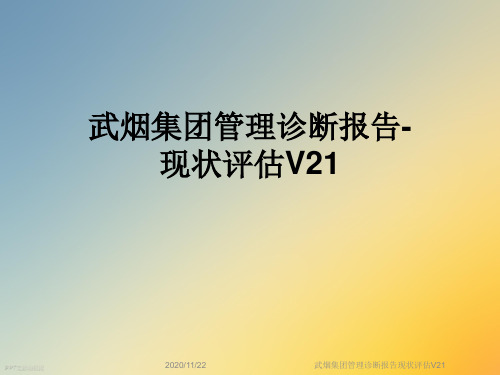 武烟集团管理诊断报告现状评估V21