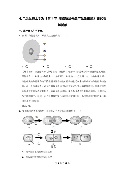 七年级生物上学期《第1节 细胞通过分裂产生新细胞》测试卷