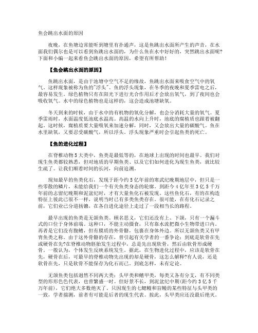 鱼会跳出水面的原因