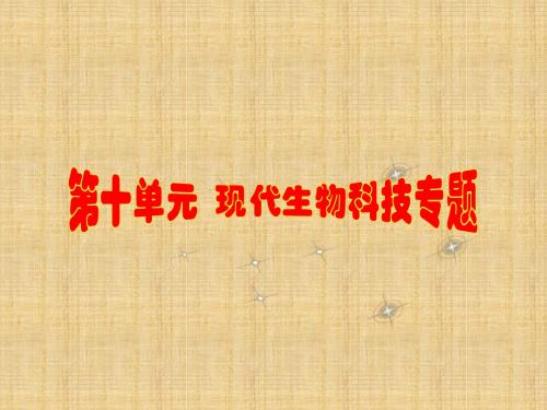 胚胎工程课件2