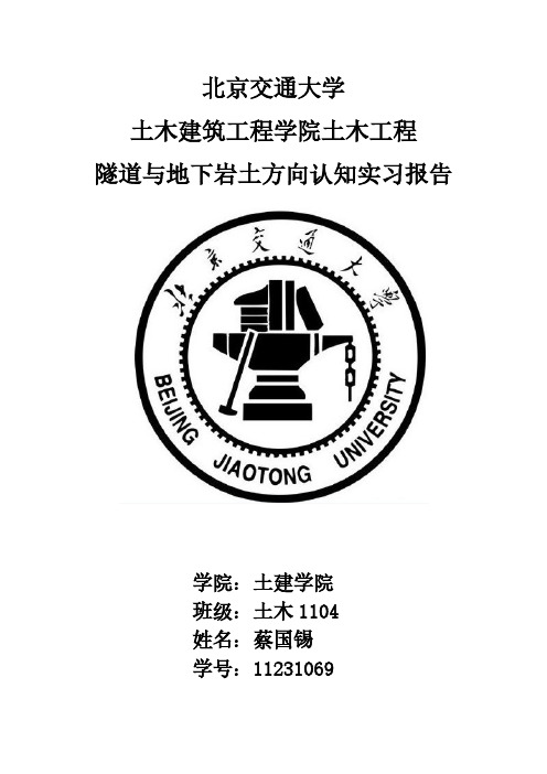 【VIP专享】北交认知实习-隧道方向