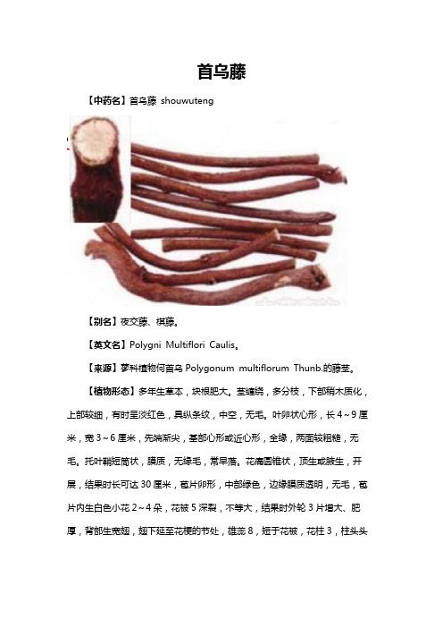 首乌藤