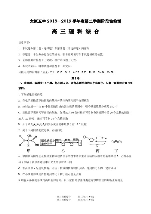 精校word版答案全---太原五中2018—2019学年度第二学期阶段性检测高三理综
