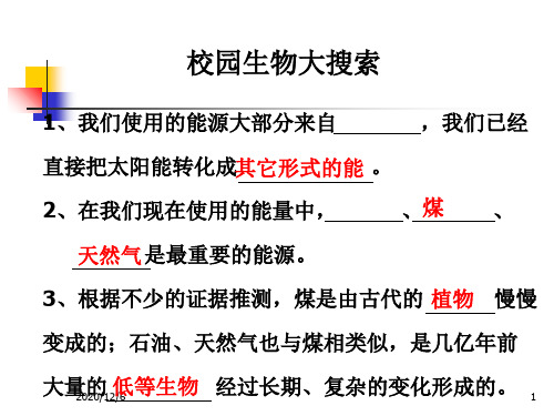 《能量与太阳》教科版小学科学六年级上册第三单元精品PPT教学课件