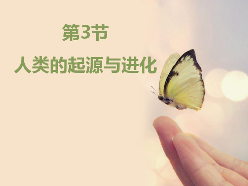 《人类的起源和进化》PPT下载