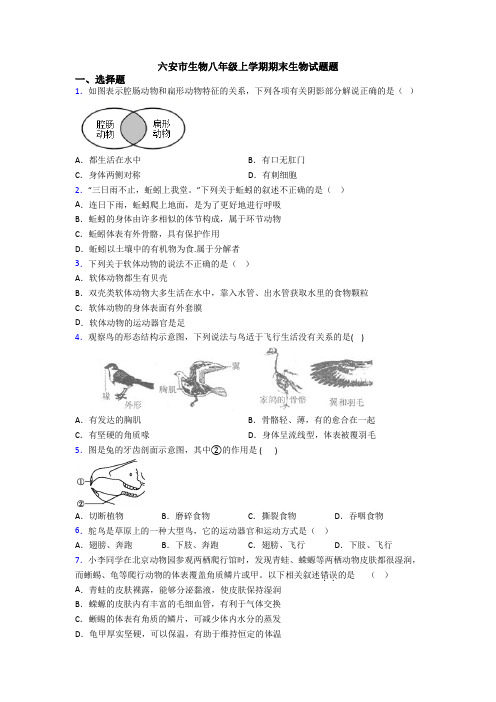 六安市生物八年级上学期期末生物试题题