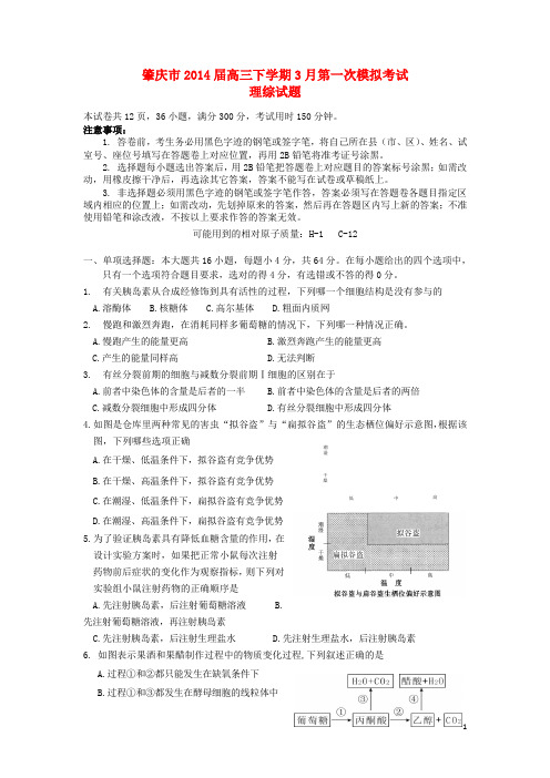 广东省肇庆市高三理综毕业班第一次模拟考试试题(肇庆一模)(1)