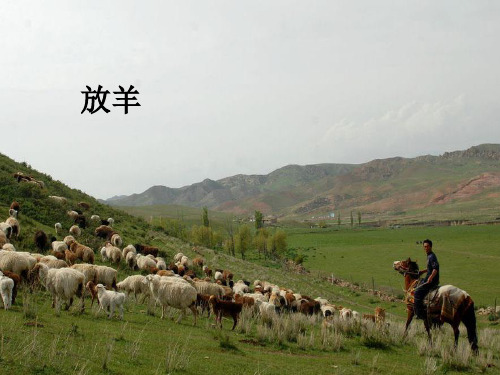人教版六年级音乐上册：蒙古族介绍-素材.ppt