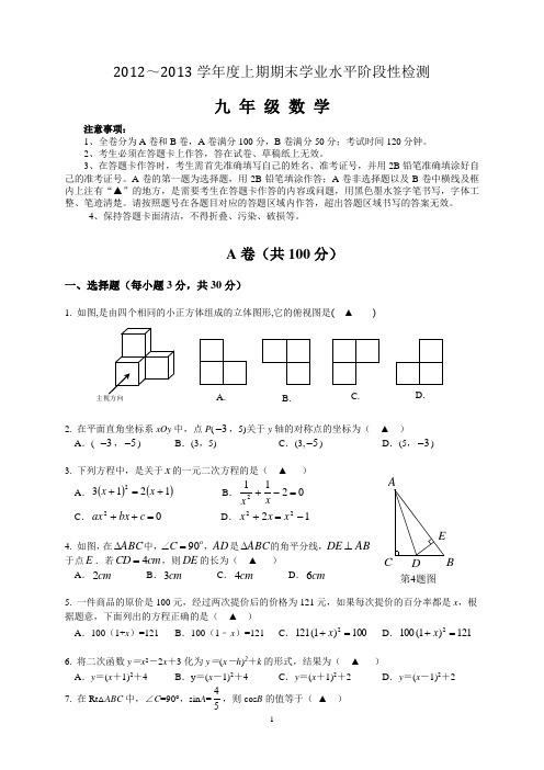2012-2013上成都市九年级数学期末试卷