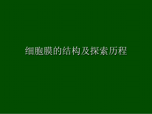 细胞膜的结构及探索历程