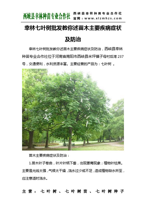 幸林七叶树批发教你述苗木主要疾病症状及防治