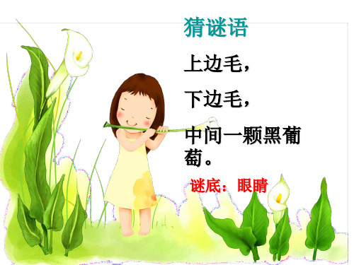 一年级品德与生活--我有一双明亮的眼睛ppt课件