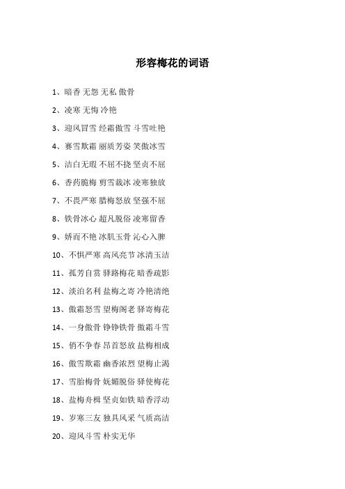 形容梅花的词语