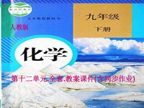 人教版 九年级化学下册 第12单元 化学与生活(全套)自导学课件-含同步导学习题答案