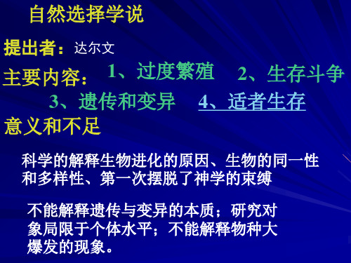 现代生物进化理论的主要内容ppt.pptx