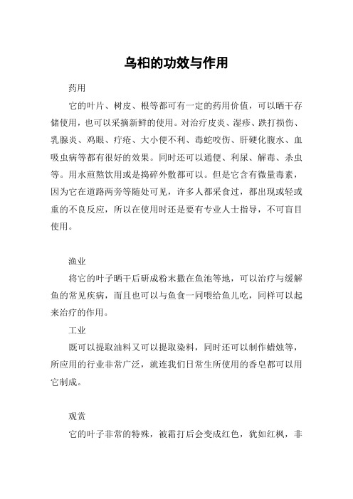 乌桕的功效与作用
