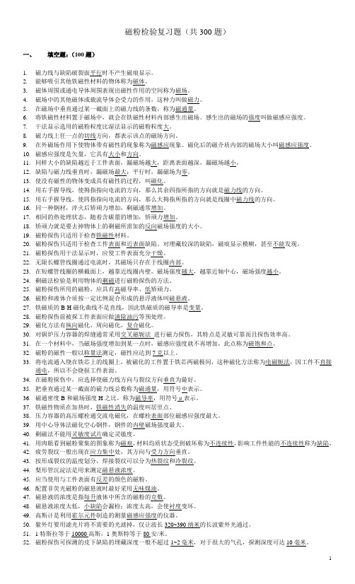 磁粉试题(300)