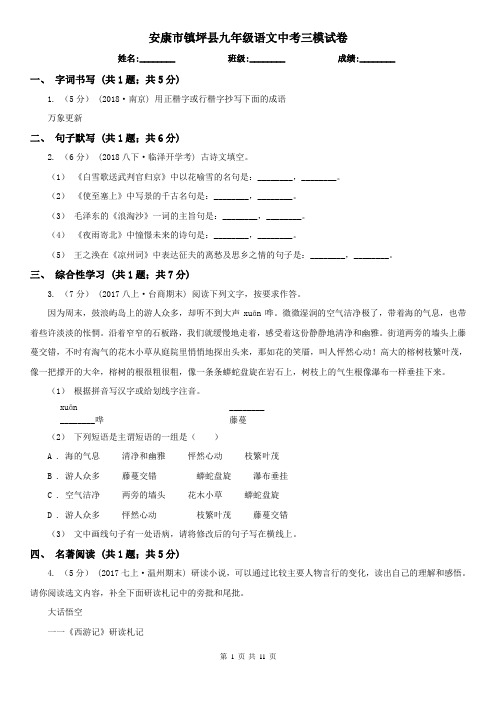 安康市镇坪县九年级语文中考三模试卷