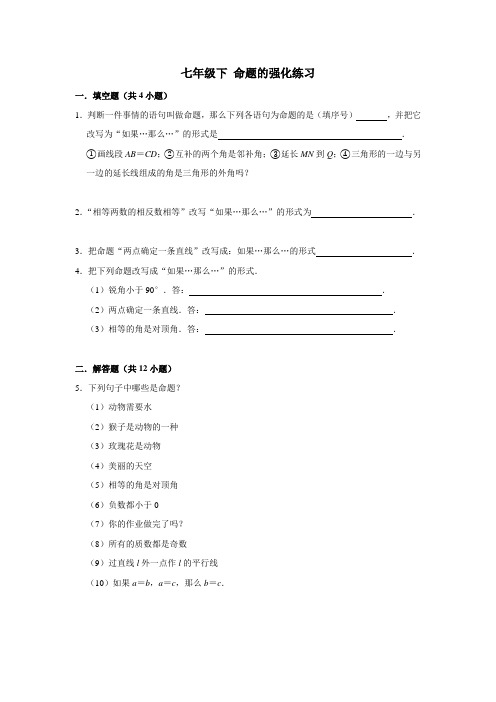 初中数学 命题的强化练习(含答案)