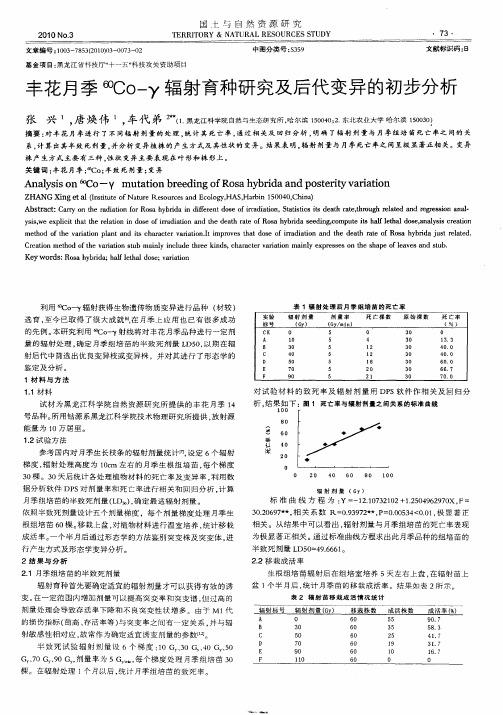丰花月季~(60)Co-γ辐射育种研究及后代变异的初步分析