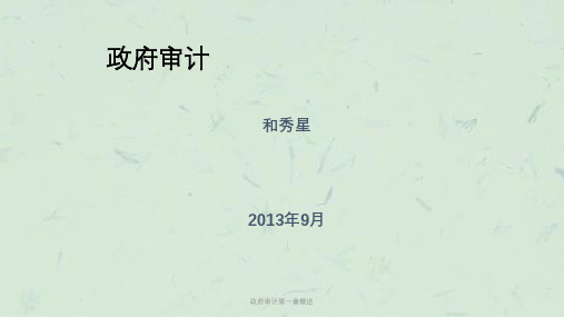 政府审计第一章概述课件