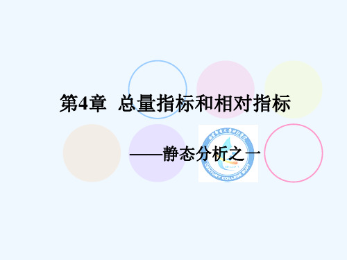 第4章 总量指标和相对指标PPT课件