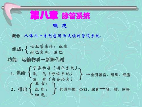 第八章 脉管系统课件