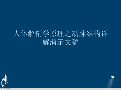 人体解剖学原理之动脉结构详解演示文稿