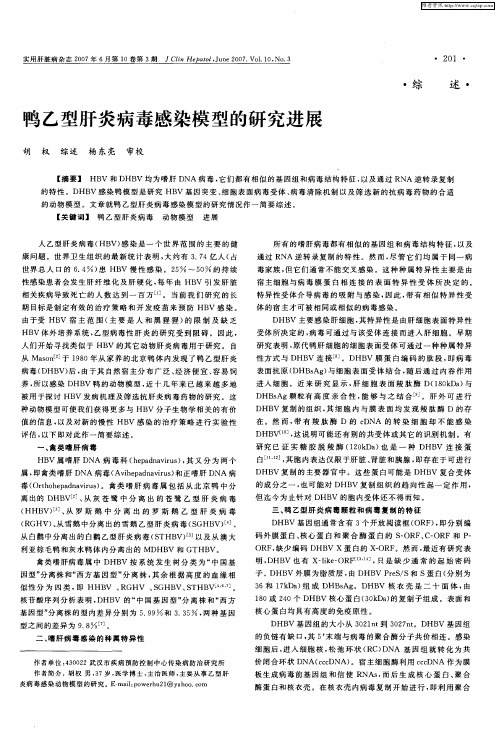 鸭乙型肝炎病毒感染模型的研究进展