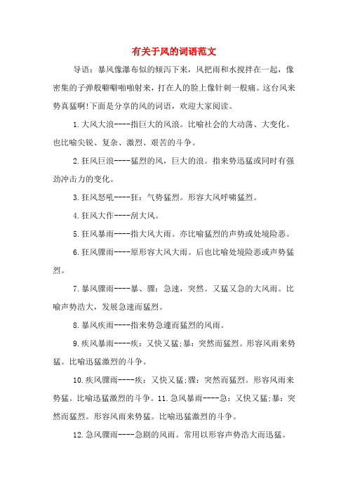 有关于风的词语范文