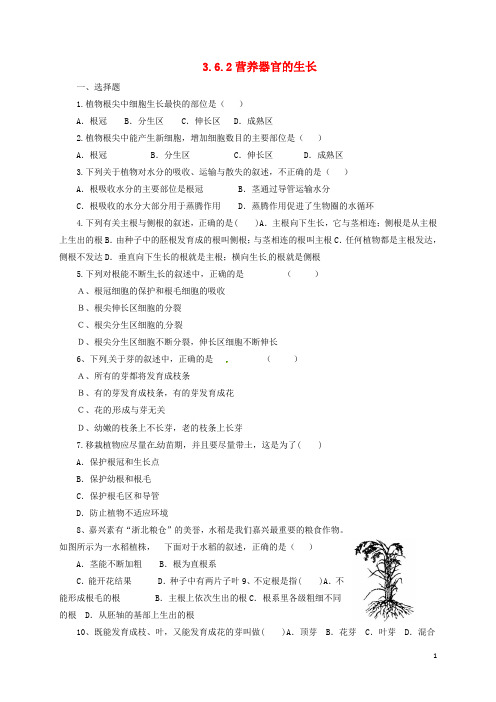 七年级生物上册3.6.2营养器官的生长同步练习(新版)北师大版